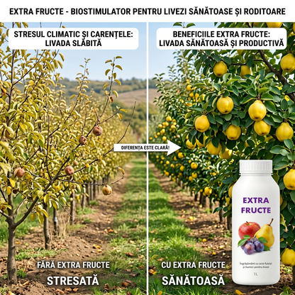 EXTRA FRUCTE - BIOSTIMULATOR POMI FRUCTIFERI - PRODUCȚIE SĂNĂTOASĂ ȘI ABUDENTĂ1 LITRU