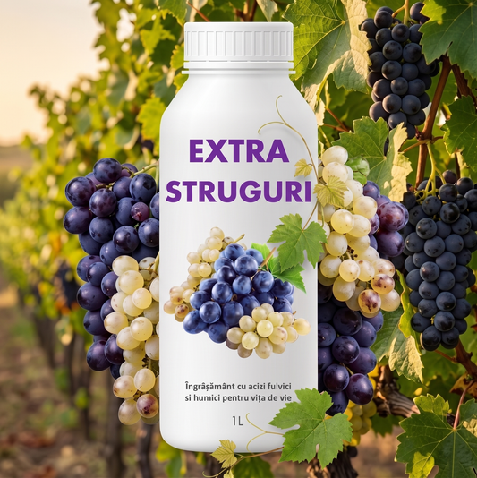EXTRA STRUGURI - BIOSTIMULATOR PENTRU VIȚA DE VIE - ROD RECORD ȘI DULCE - 1 LITRU