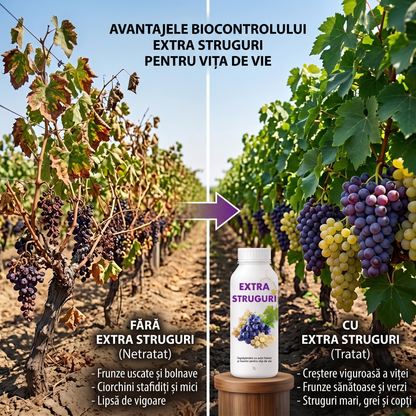 EXTRA STRUGURI - BIOSTIMULATOR PENTRU VIȚA DE VIE - ROD RECORD ȘI DULCE - 1 LITRU