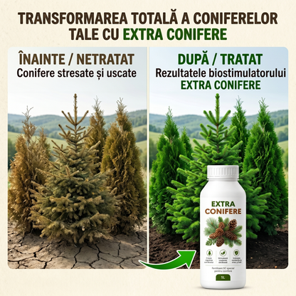 EXTRA CONIFERE - BIOSTIMULATOR PENTRU TUIA, BRAZI, MOLIZI - VERDE INTENS 1 LITRU