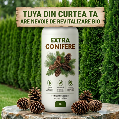 EXTRA CONIFERE - BIOSTIMULATOR PENTRU TUIA, BRAZI, MOLIZI - VERDE INTENS 1 LITRU