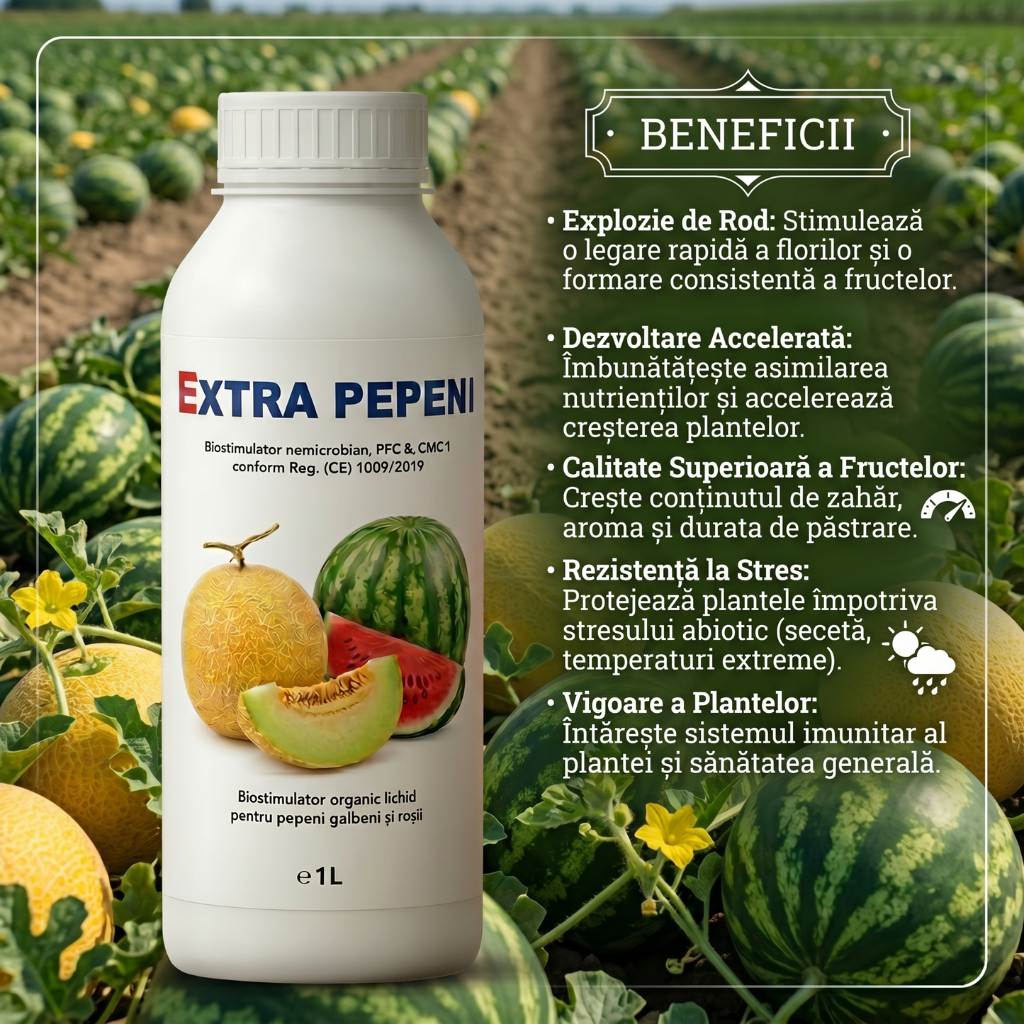 EXTRA PEPENI - BIOSTIMULATOR PENTRU PEPENI VERZI ȘI GALBENI - ROD BOGAT ȘI DULCE 1 LITRU